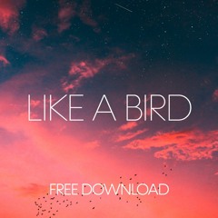 Dmitry Molosh - Like A Bird [Free Download]
