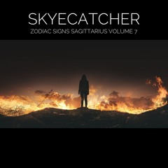 Zodiac Signs Sagittarius Volume 7