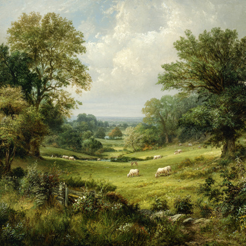 Dreams of the Valley