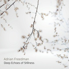 Deep Echoes Of Stillness