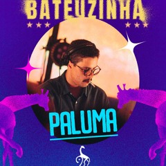 PALUMA minimix para BATEUZINHA 9 anos