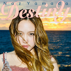 DESTINY_Ncube Project