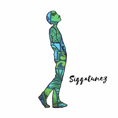 Nova Funk Mix. 19 - Siggatunez