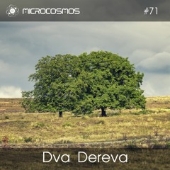 Dva Dereva — Microcosmos Chillout & Ambient Podcast 071