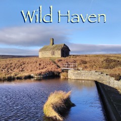 WILD HAVEN