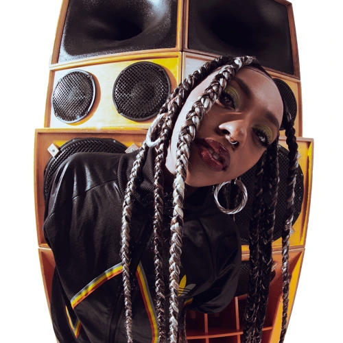 Artwork for the song  Nia Archives & Watch The Ride - Mash Up The Dance DUB by SKEPTIC on Next Sound