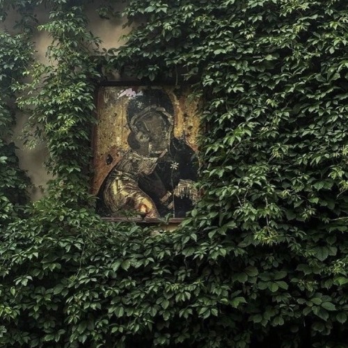 I Have A Special Message Produced by ashura kai x ‪6astardcanrise‬