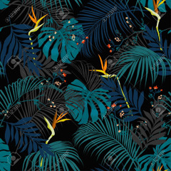 Black Summer (Hittman Tha Genius)