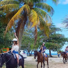 Review Special Price Sand N Saddle Horseback Ride Swim Tour From Falmouth