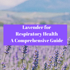 Lavender for Respiratory Health - A Comprehensive Guide