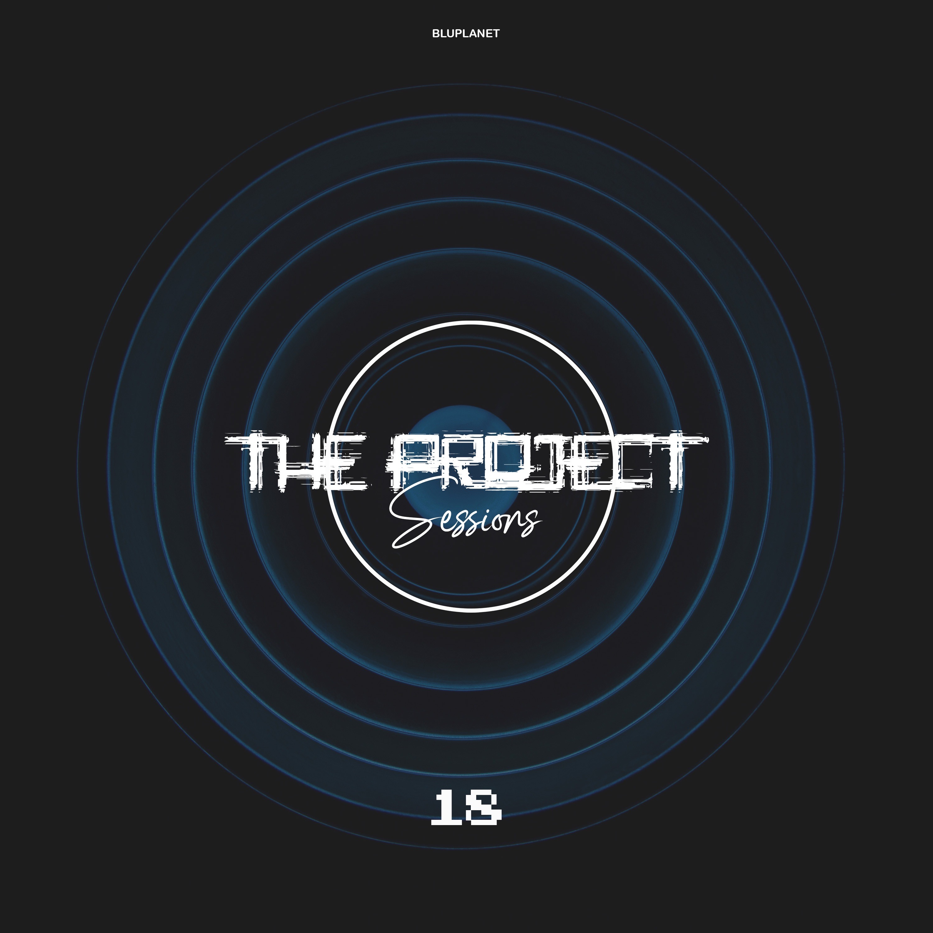 The Project Sessions