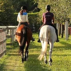 Review Special Price Horseback Trail Rides In Miami