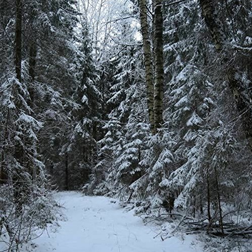 biv - face (prod. pulse)