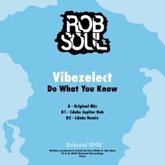 Vibezelect - Do What You Know (Cdubs Remix)