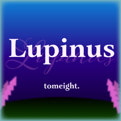 Lupinus