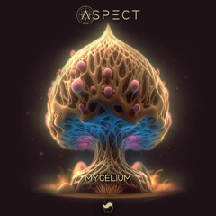 Aspect - Mycelium