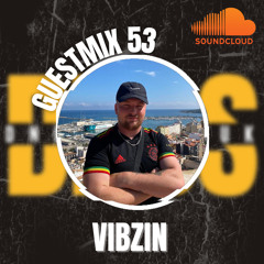 GUESTMIX 53 - VIBZIN