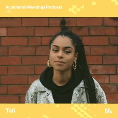 AM Podcast #30 - Tañ