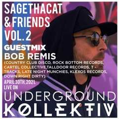 Vol 2 : Bob Remis (Portland, United States) (UDGK: 30/04/2021)