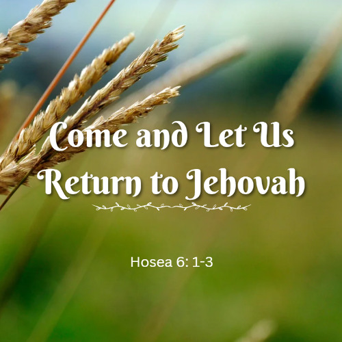 Come and Let Us Return to Jehovah