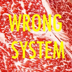 TRONIK YOUTH - WRONG SYSTEM