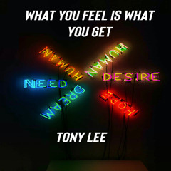 What You Feel Is What You Get