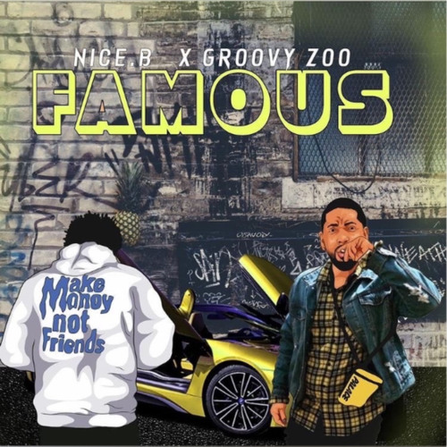 Nice.B ft Groovy Zoo Famous