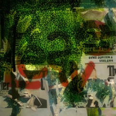 Sync Jupier & Voklems - Leave (230 Remix)