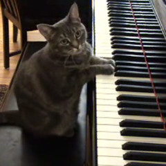 Piano collection III
