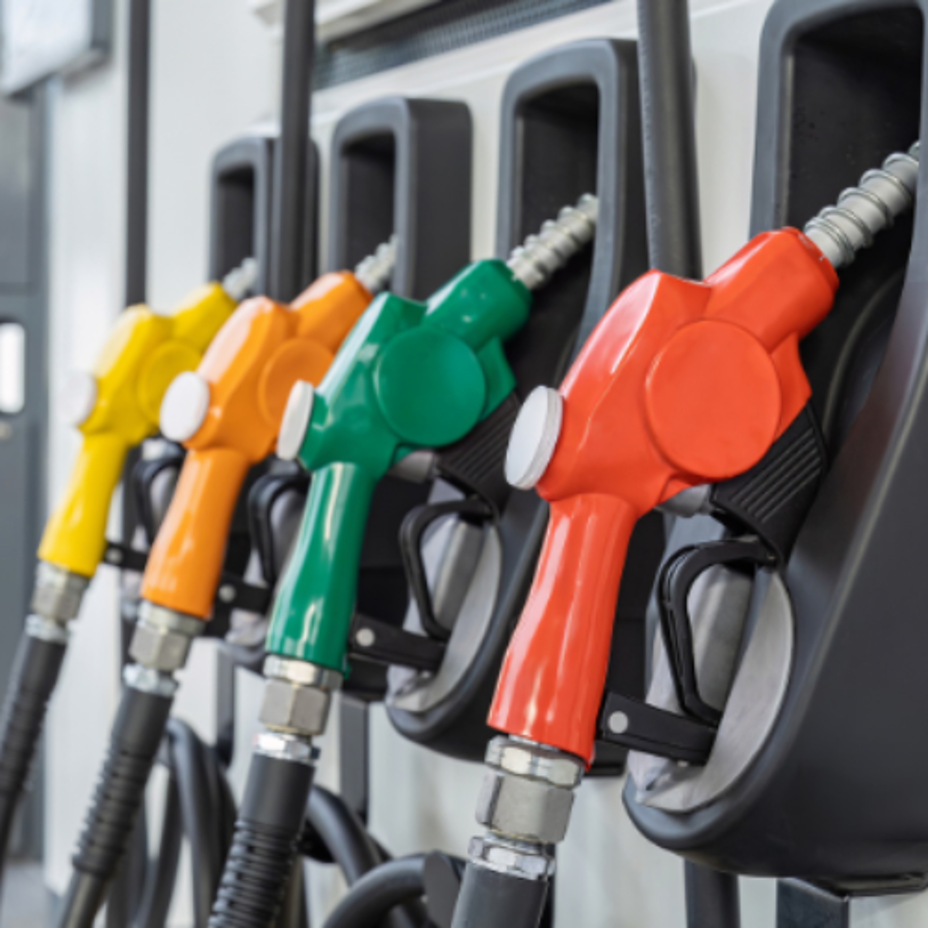 A Clare Fianna Fáil Councillor Is Urging Government To "Look After Our Own People For A Change"