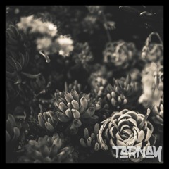 Subsequently Unknown (MAB - Moog Subsequent 25)