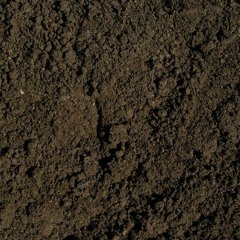 Dirt (squirlbeats)