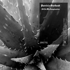 Patricia Gurband - All In My Imagination [II027S]