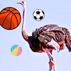 Ostrich Thing With The Balls Again