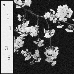 saert, unedenic, & kolkye - 71136