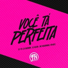 VOCÊ TA PERFEITA - DJ TIX,DJ NARDIIN,DJ GUZIN