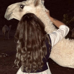 تقول غيد مع البدوان عقود الالماس تزهاها || العذب