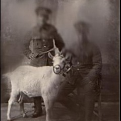 yagi (rubbishrubbish) [@aloneinthisforest]