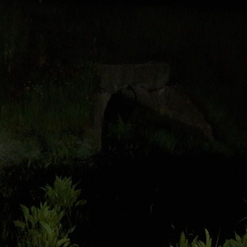 tu dors et vois comment tu meurs et renaît pour mourir à nouveau