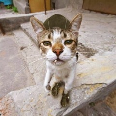 Purr Sum Mo (MiKEWiLLMADEiT x Soundz)