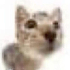 no mercy (egg X cox)