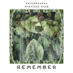 Remember - EnigmaCurry & Mystique Wind