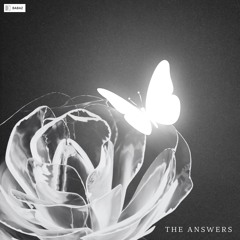 Babaz - The Answers