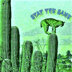 staythesame prod. flowers