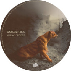 Kosheen - Hide U (Michael TRB Edit)