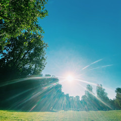 Sunday Session 14/04