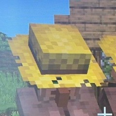 steppermine