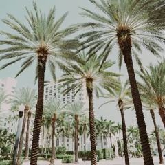 Miami Lounge Vol. 12