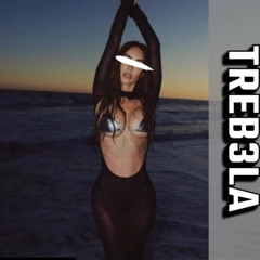 Money On The Dash (TREB3LA REMIX)