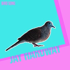 Jay Hardway - Bird Song [OUT NOW]